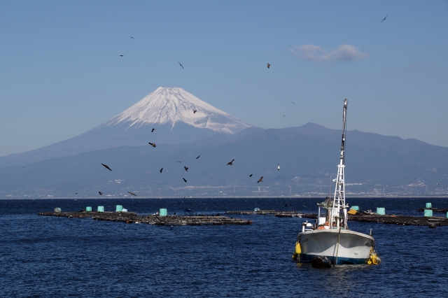 近ごろ人気の観光地、沼津のいちご大福