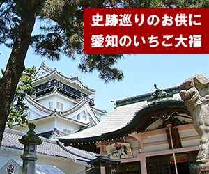 史跡や寺社巡りとともに立ち寄りたい！愛知のいちご大福14選