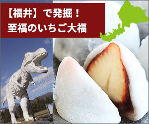 【至福の福井】　福井銘菓といちご大福のハーモニー　餅好きにおすすめ10選　【おちょきんして食べたい絶品揃い】