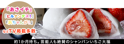 大阪で行列必至 驚きスイーツ 一心堂のフルーツ大福 がっつり実食してみました いちご大福委員会 大阪で行列必至 驚きスイーツ 一心堂のフルーツ大福 がっつり実食してみました いちご大福委員会